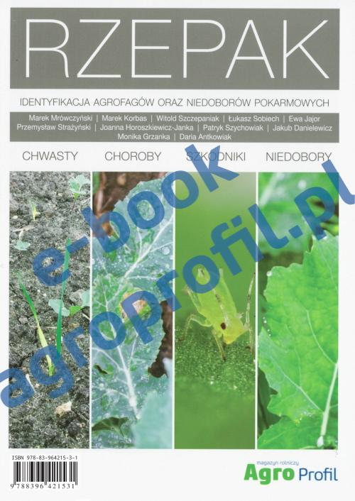 Rzepak - chwasty, choroby, szkodniki, niedobory