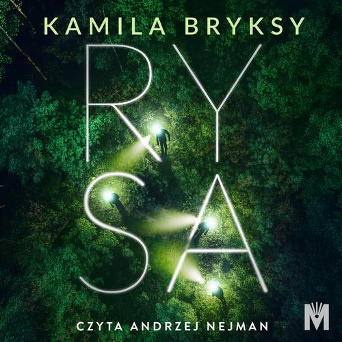 Rysa