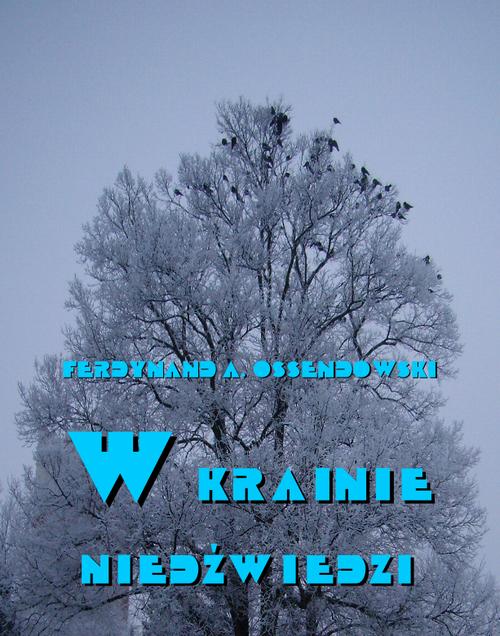W krainie niedźwiedzi