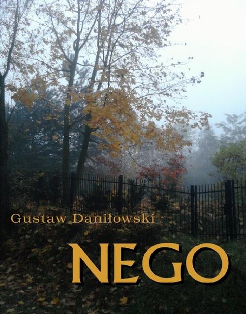 Nego smutna historia o zniszczeniu dziecka przez szkołę
