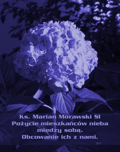 Pożycie mieszkańców nieba między sobą. Obcowanie ich z nami.