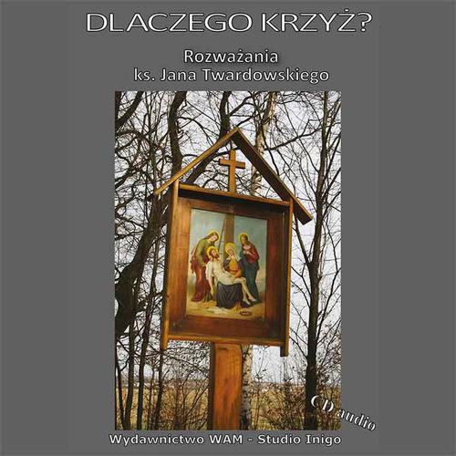 Dlaczego Krzyż?