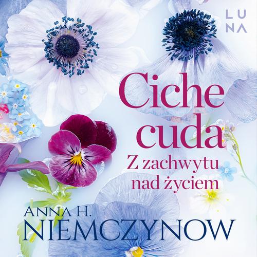Ciche cuda