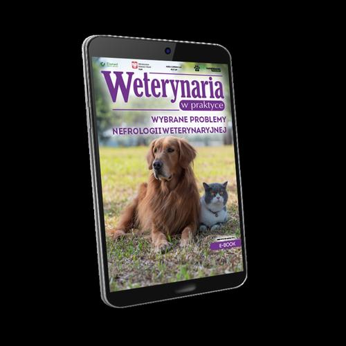 Wybrane problemy nefrologii weterynaryjnej
