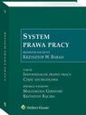 System prawa pracy. Tom III. Indywidualne prawo pracy. Część szczegółowa
