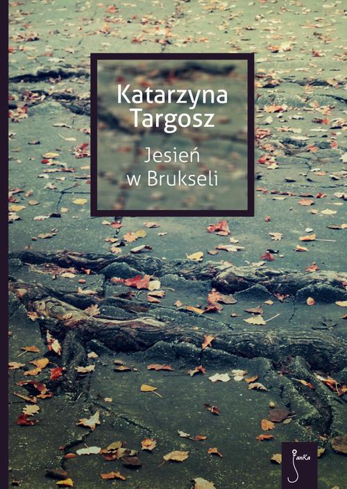 Jesień w Brukseli