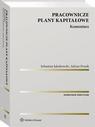 Pracownicze plany kapitałowe. Komentarz