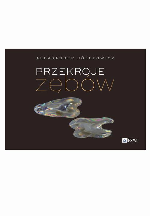 Przekroje zębów