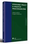 Stosunki pracy u małych pracodawców
