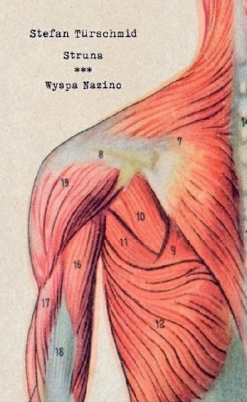 Struna/ Wyspa Nazino
