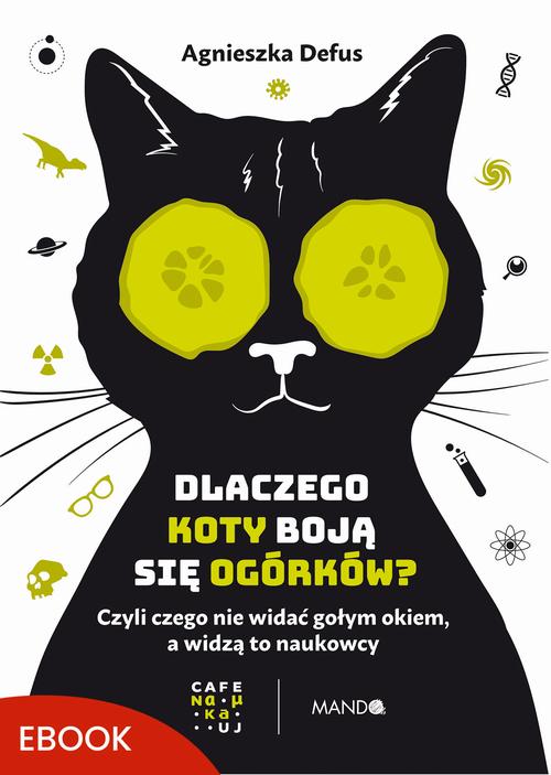 Dlaczego koty boją się ogórków?