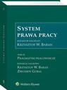 System prawa pracy. TOM XI. Pragmatyki pracownicze
