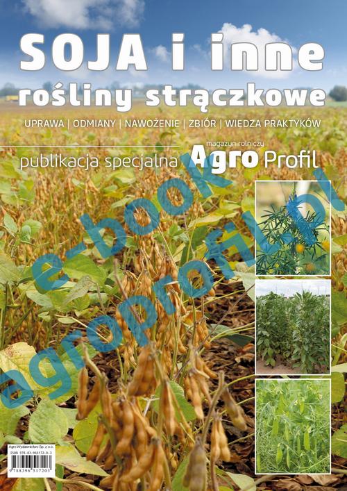 Soja i inne rośliny strączkowe - bobik, groch, łubin