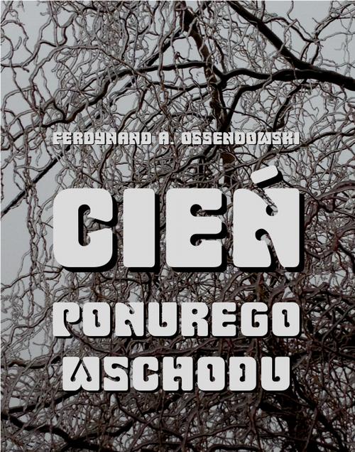Cień ponurego Wschodu. Za kulisami życia rosyjskiego