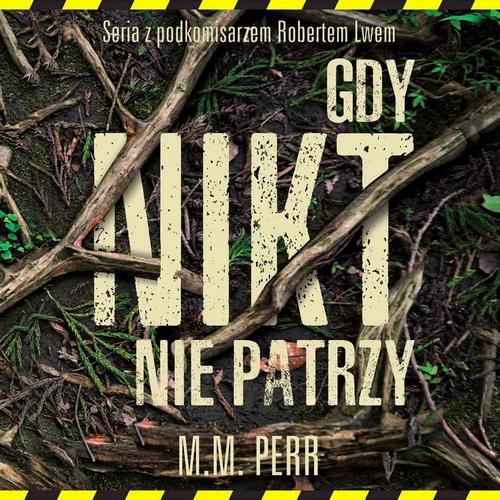 Podkomisarz Robert Lew. Tom 2. Gdy nikt nie patrzy