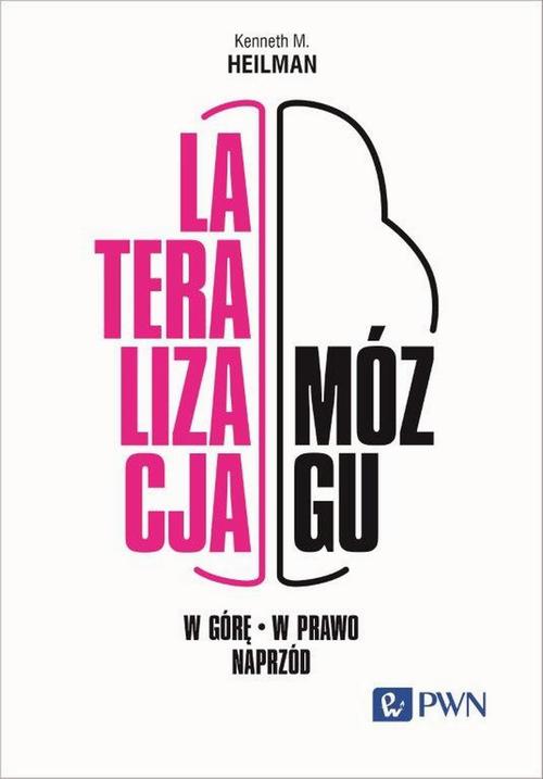 Lateralizacja mózgu W górę - w prawo - naprzód
