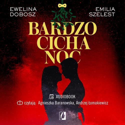 Bardzo cicha noc