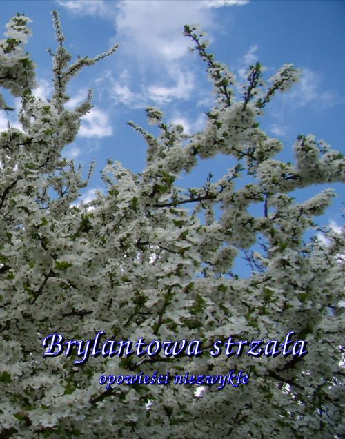 Brylantowa strzała. Opowieści niezwykłe