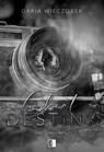Lost in Passion T.1 Cheat Destiny