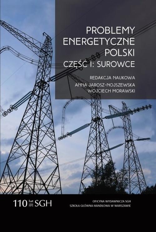 Problemy energetyczne Polski. Część I. Surowce