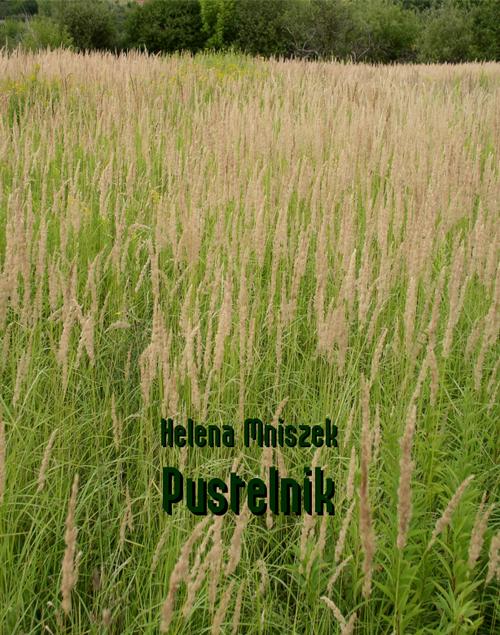 Pustelnik